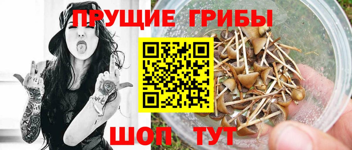 Магадан  Галлюциногенные грибы прущие грибы  Вход с VPN 